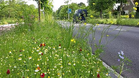 Bloemenberm Herenweg